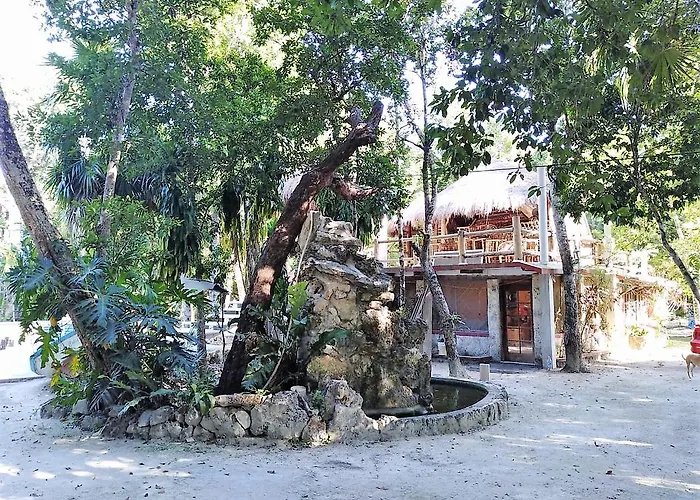 Drop By Nature Ruta De Los Cenotes * Puerto Morelos