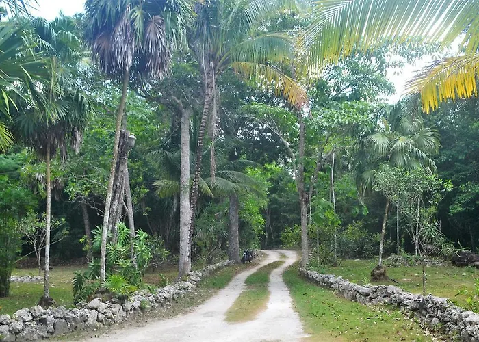 Drop By Nature Ruta De Los Cenotes * Puerto Morelos