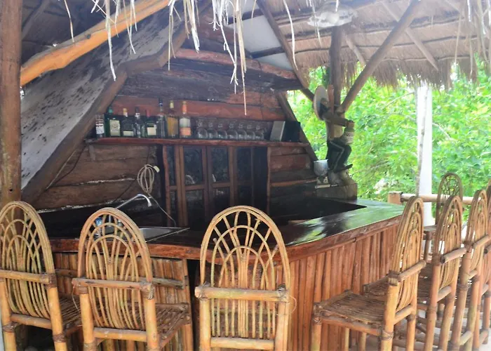 Drop By Nature Ruta De Los Cenotes *