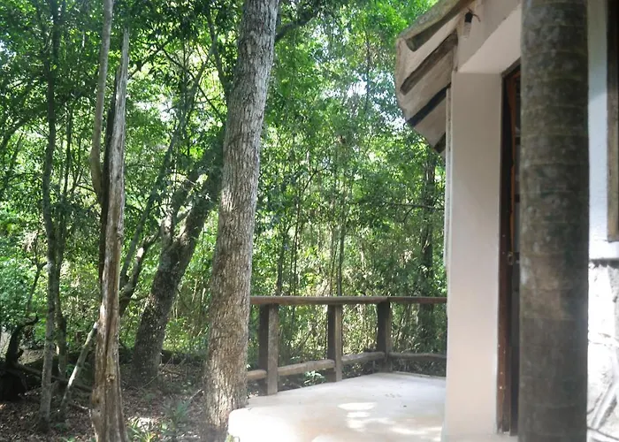 Drop By Nature Ruta De Los Cenotes