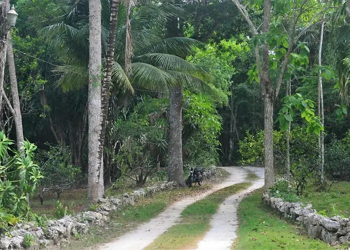 Drop By Nature Ruta De Los Cenotes Lodge Puerto Morelos