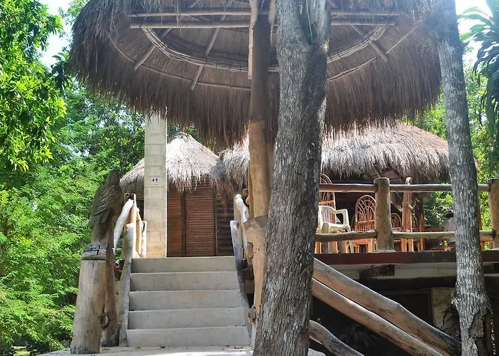 Drop By Nature Ruta De Los Cenotes * Puerto Morelos