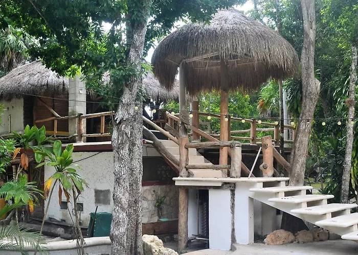 Drop By Nature Ruta De Los Cenotes Puerto Morelos