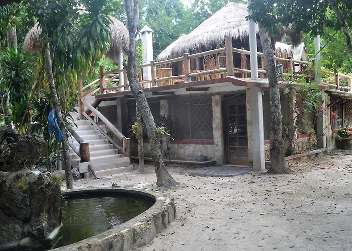 Drop By Nature Ruta De Los Cenotes Puerto Morelos